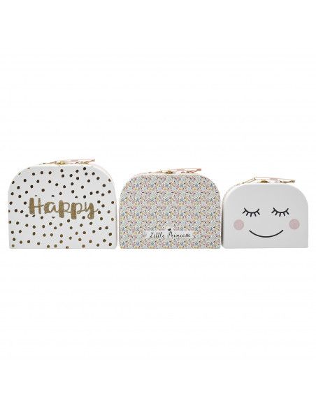 Lot de 3 valisettes de rangement assorties