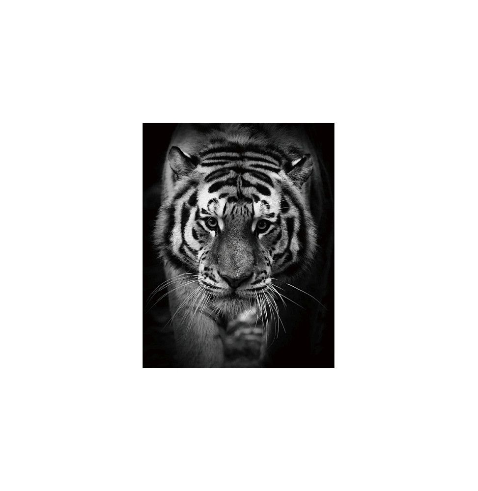 Tableau en verre - Tiger - L 80 cm x H 120 cm