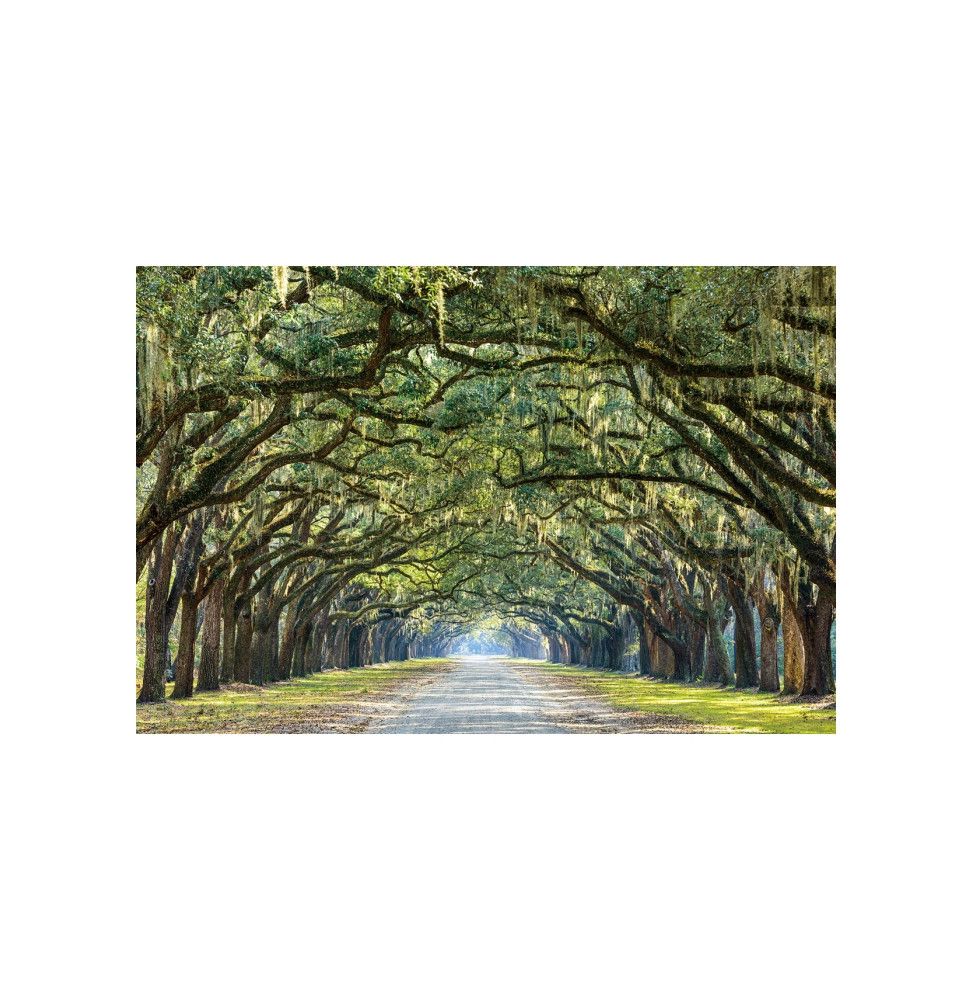 Tableau en verre - Tress I - L 120 cm x H 80 cm