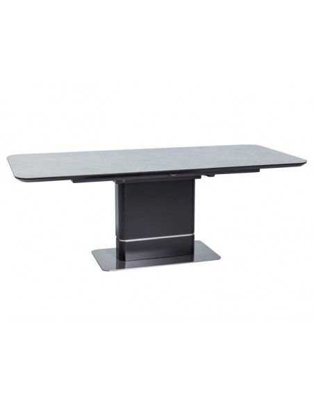 Table Pallas - L 160 x l 90 x H 76 cm - Gris