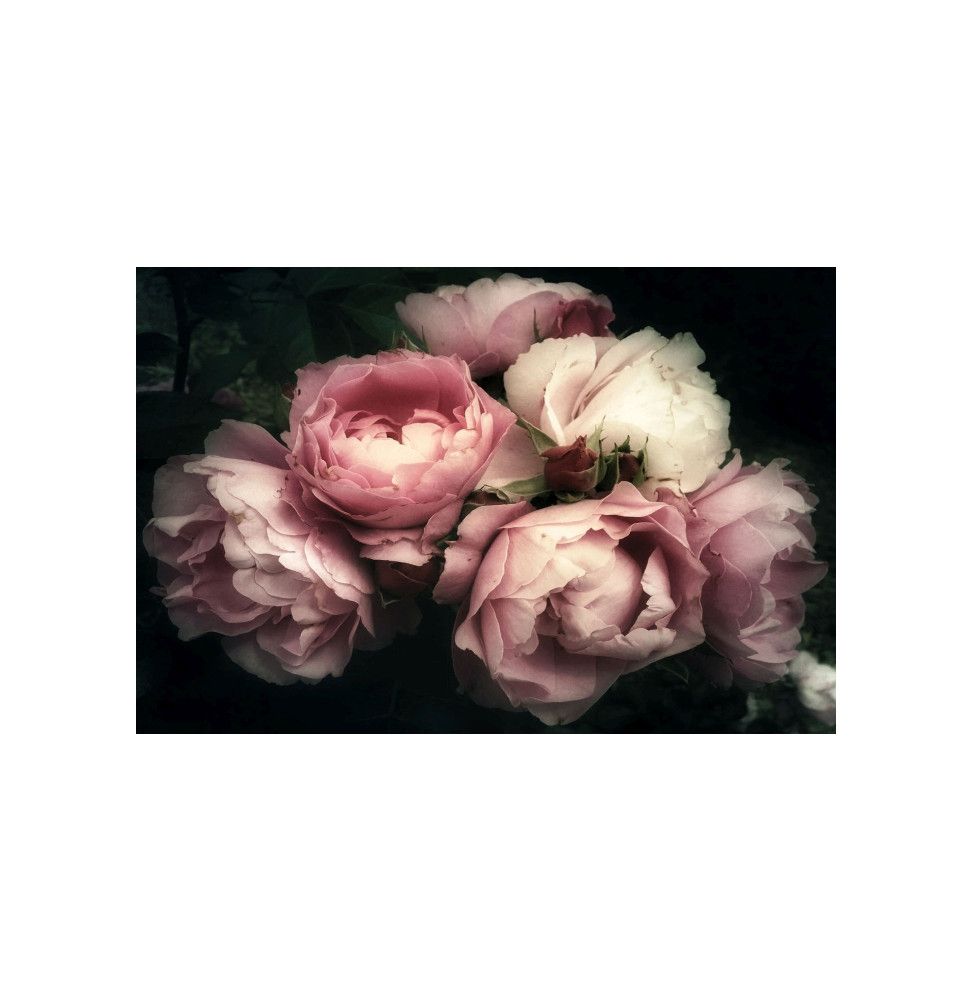 Tableau en verre - Flowers I - L 120 cm x H 80 cm