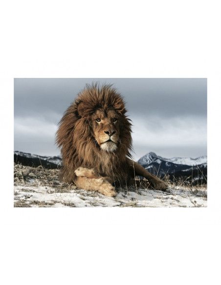 Tableau en verre - Lion - L 120 cm x H 80 cm