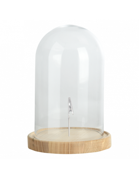 Cloche en verre sur socle en bois - D 20,5 cm x H 31 cm