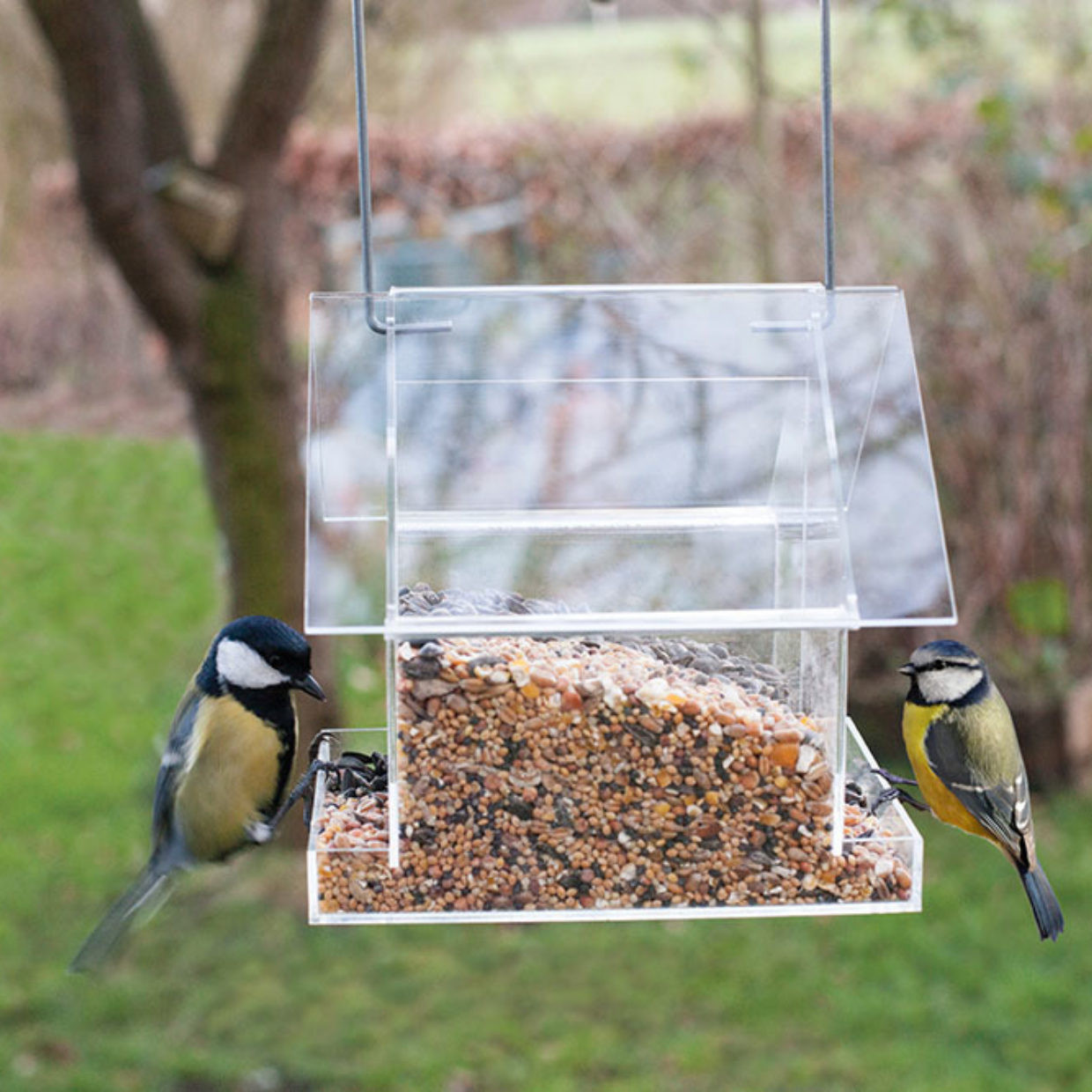 Mangeoire à oiseaux suspendue en acrylique - L 15 cm x l 15,5 cm x H 14,8 cm