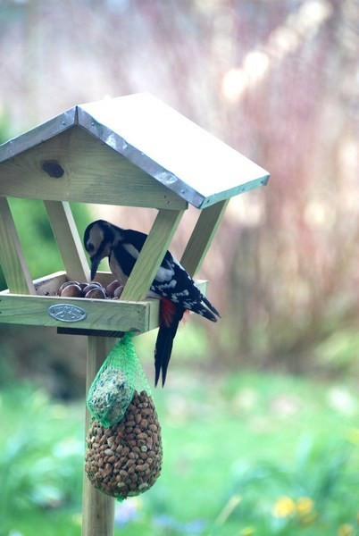 Mangeoire pour oiseaux sur piquet avec toit en métal