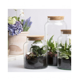 Bouteille Terrarium verre ouverte 10L pas Cher