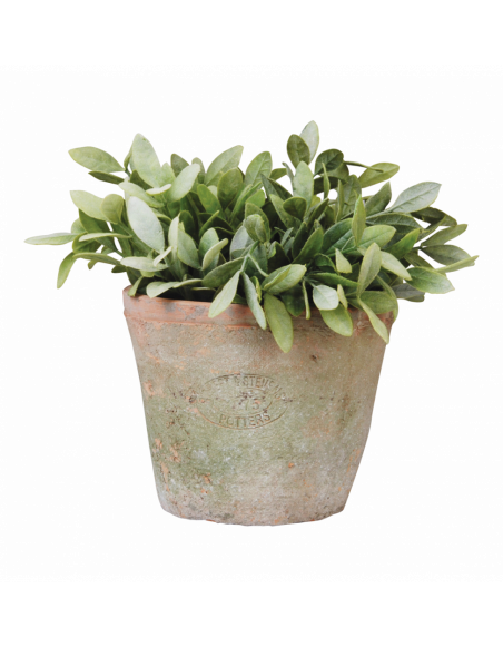 Pot pour plantes en terre cuite - D 16,3 cm x H 12 cm