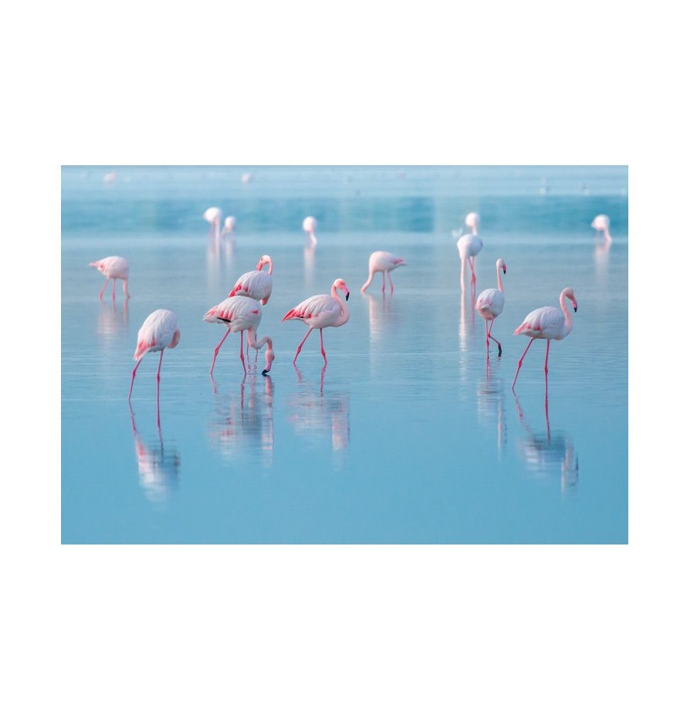 Tableau flamants roses - L 80 x l 120 cm x H 0,4 cm