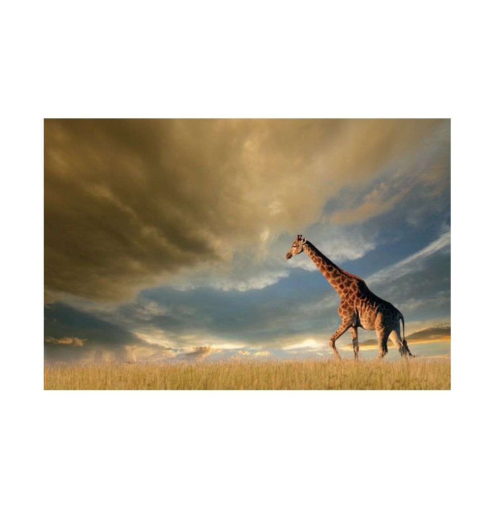 Tableau girafe - L 80 x l 120 cm x H 0,4 cm - Verre trempé